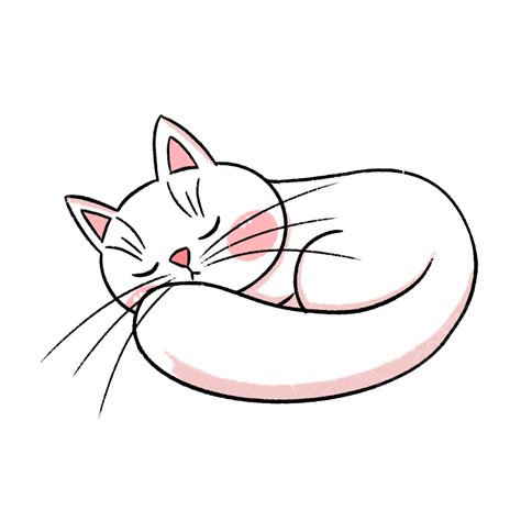 Sleeping Cat White Transparent Sleeping Cat Cat Kitten Go To Bed