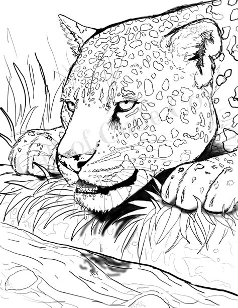 Jaguar Coloring Page Animal Coloring Page Etsy