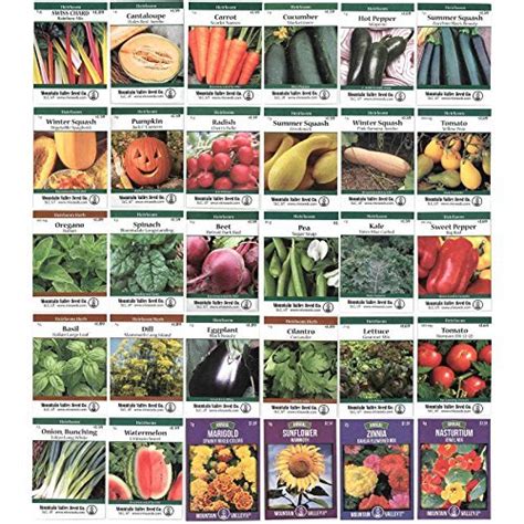 Very easy to grow from sunflower seeds, just find a sunny, sheltered spot and watch them grow! Heirloom Seed Assortment - Collection of 30 Non-GMO, Easy ...