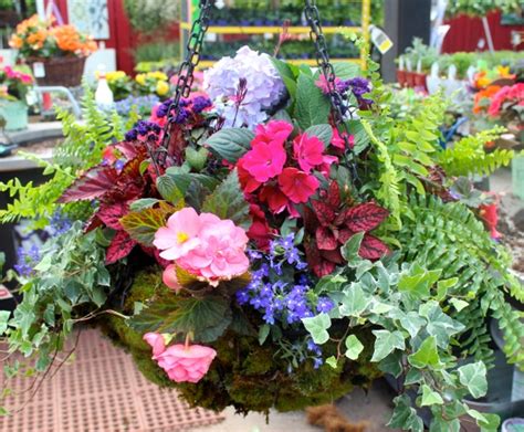 For summer flowering plants, you should aim to plant in mid to late spring, ideally. The Barn Nursery - Chattanooga Garden Center | Flower ...