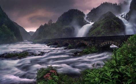 Nature Landscape Waterfall River Mountain Ferns Wildflowers