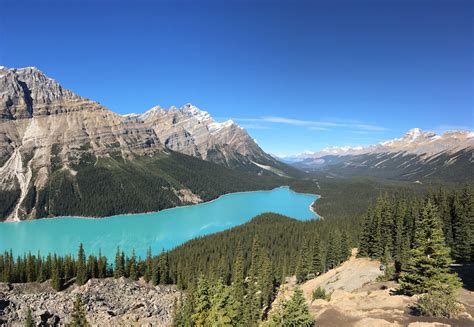 A Gorgeous Blue Peyto Lake Alberta Canada Oc 4809 X 3326 R