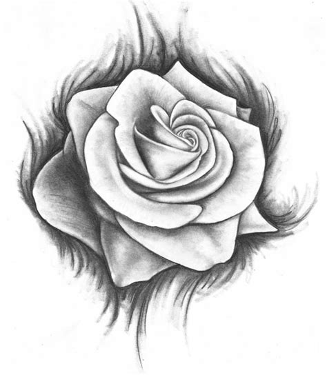 90 disegni a matita fra i più belli e sorprendenti con. disegni-a-matita-rosa-grandi-dimensioni-bianco-nero-sfondo ...