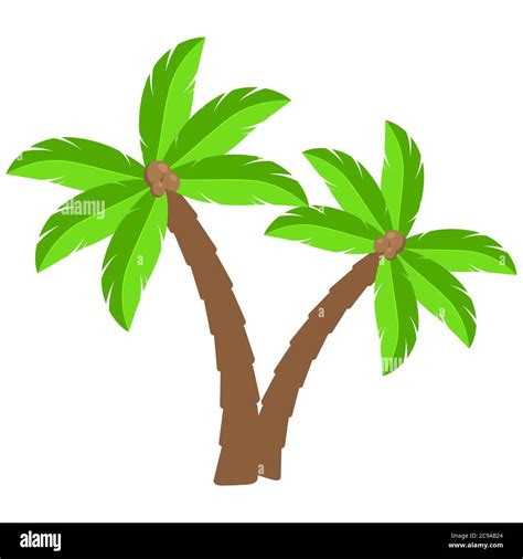 Palmeras Tropicales Dibujos Animadosdos Cocoteros Curvos Aislados En