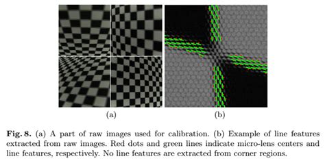 Researchers Develop Geometric Calibration Method For MLA Based Light Field Cameras Using Line