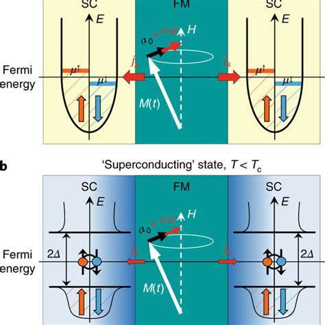 Principle Of The Approach Ab Schematic Diagrams Of The Magnetization