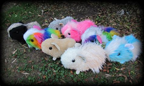 All Things Guinea Pig Guinea Pig Toy Patterns Make Your Own