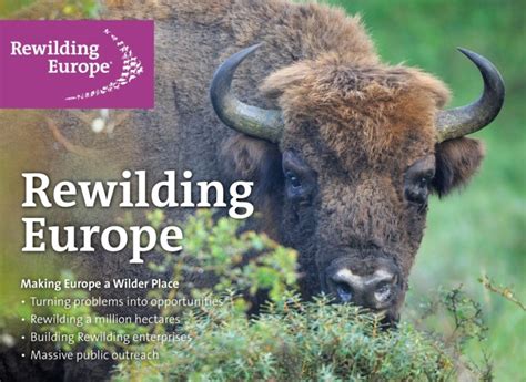 The Rewilding Europe Main Brochure Downloadable As An Ibook Rewilding