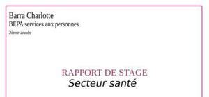 PDF Télécharger rapport de stage Bac pro Assp Gratuit PDF PDFprof com