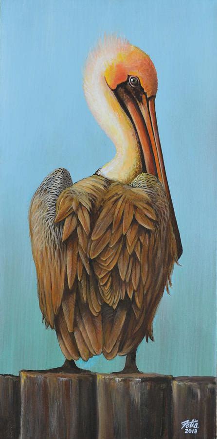 Brown Pelican Painting By Anthony Fotia Fine Art America