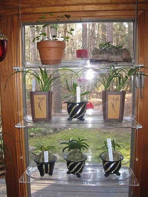 Glass Window Shelves For Plants Decor Ideas