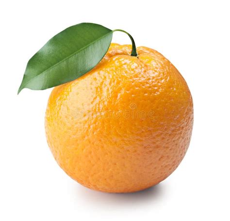 Orange Stock Image Image Of Fruit Skin Leaf Natural 13642243
