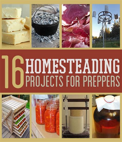 We did not find results for: Cool Homesteading DIY Projects For Preppers | Survival Life