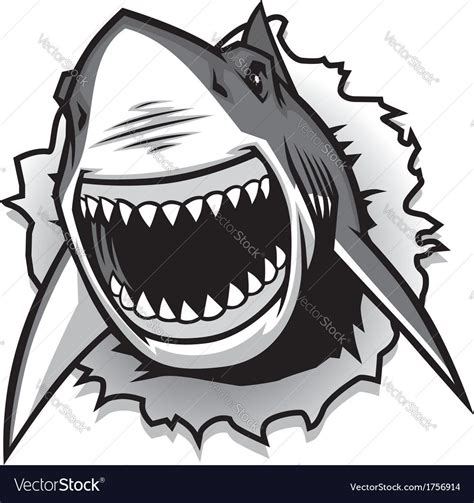 Shark Mouth Open Cartoon Mouths Shark Illustration Shark Drawing