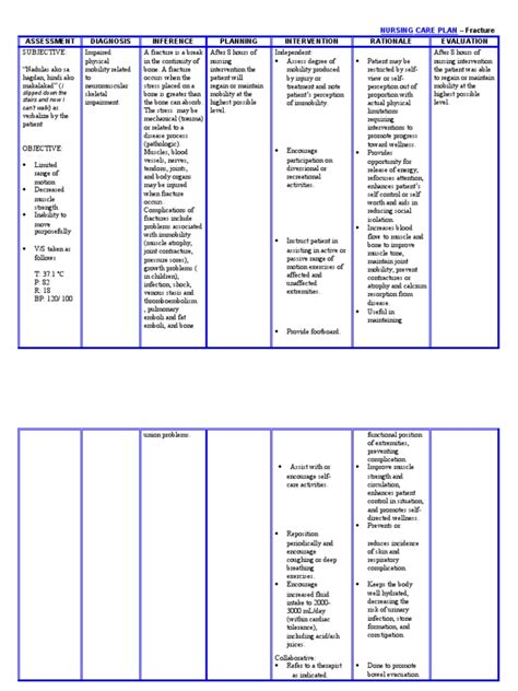 Nursing Care Plan Fracture Pdf Bone Skeletal Muscle