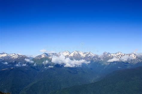 Caucasus Mountains Covered With Snow Evergreen Forest Under Blue Sky