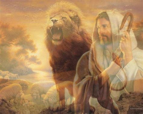 The Lion And The Lamb Lion And Lamb Jesus Pictures Lion Of Judah