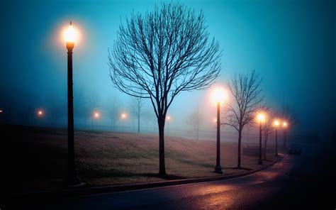 Fog City Street Park Lights Night Wallpaper Travel And World