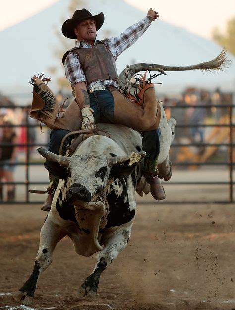 12 Mejores Imágenes De Vida De Rodeo Vida De Rodeo Rodeo Monta De Toros