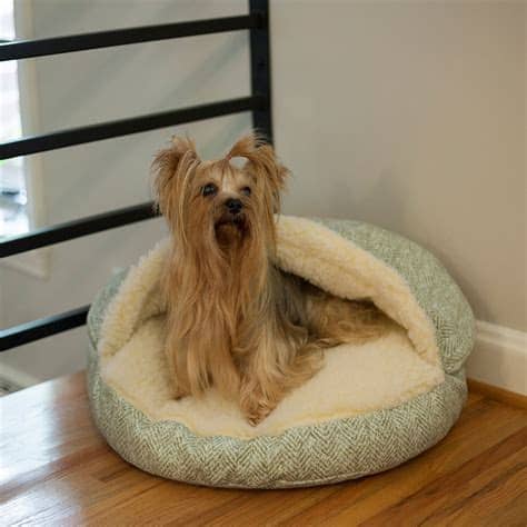 5 best friends by sheri orthocomfort deep dish cuddler. Snoozer Cozy Cave Dog Beds | Hooded Dog Beds | Cave ...