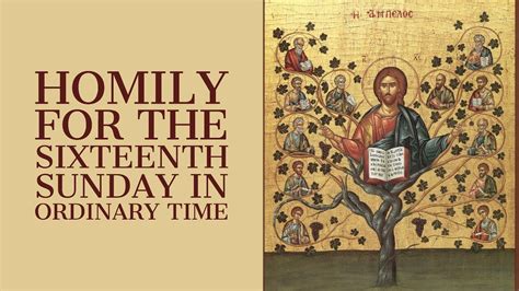 Homily For The Sixteenth Sunday In Ordinary Time Year A Youtube