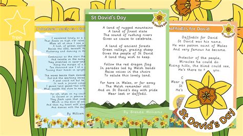 Teachers Pet St Davids Day Daffodil Poems