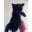 Beautiful Tiny Black Kitten Ready  In Bordesley Green West Midlands