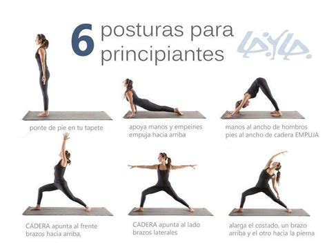 28 Top Photos Yoga Para Principiantes En Casa Yoga Para Principiantes 80730 Hot Sex Picture