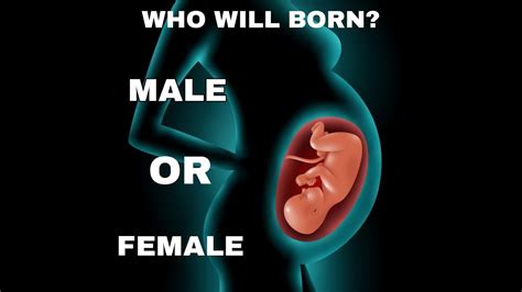 amniocentesis ii pre natal sex determination ii chromosomal disorders ii youtube
