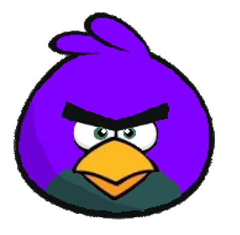 Purple Bird Angry3456 Angry Birds Fanon Wiki Fandom Powered By Wikia
