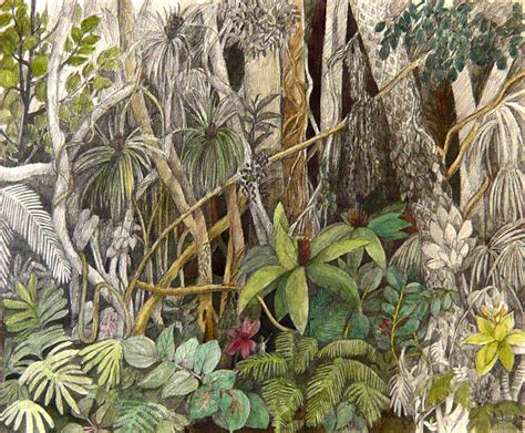 Jungle Pencil Drawing At Getdrawings Free Download