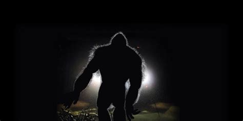 15 Incredible Bigfoot Sightings Of The 21st Century With Map
