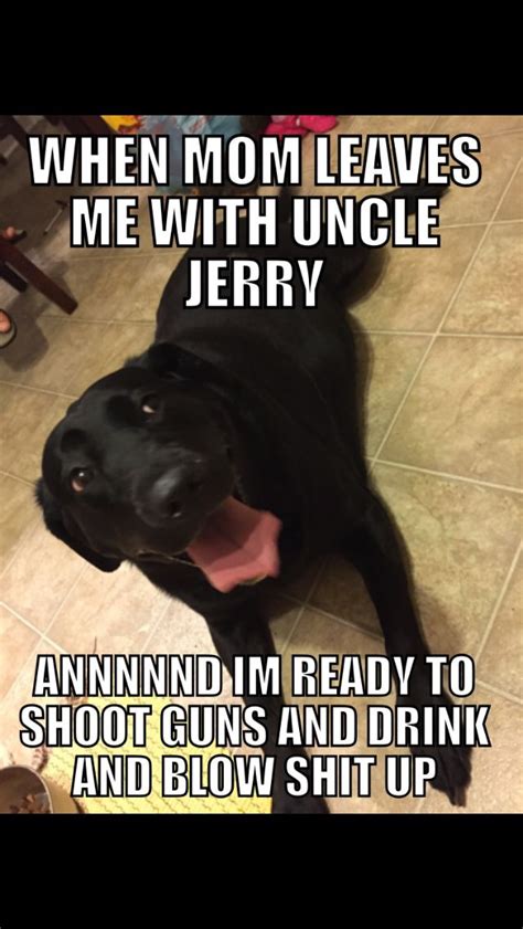 Get a $100 value for pet services at tlc pet boarding and pay $90. Always get references before choosing a dog-sitter ...