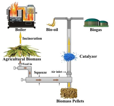 Sustainable Conversion Of Agricultural Biomass Into Renewable Energy