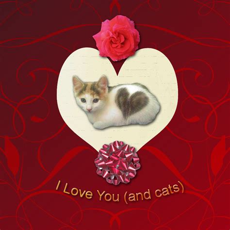 Download Valentines Day Card For Cat Lovers Pictures Of Cats By