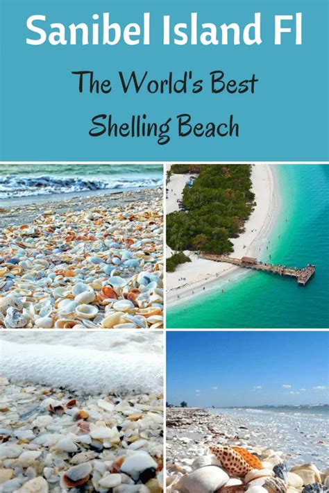 Sanibel Island Fl The Worlds Best Shelling Beaches Beach Bliss Living