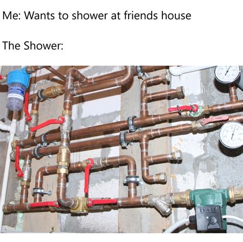 Me Wants To Shower At Friends House The Shower Funny