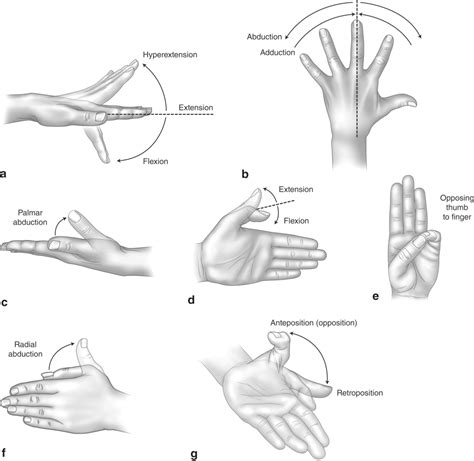 Physical Examination Of The Hand Semantic Scholar