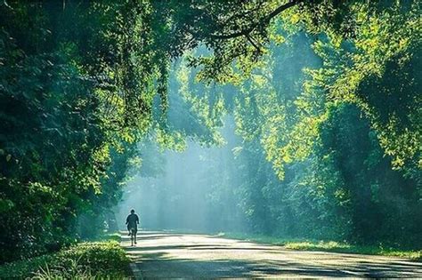 West Bali National Park Forest: UPDATED 2021 All You Need to Know