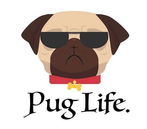 Pug Template Examples Opialop