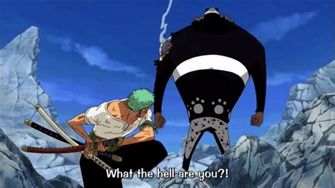 Tumblr is a place to express yourself, discover yourself, and bond over the stuff you love. Roronoa Zoro Kuma Gif