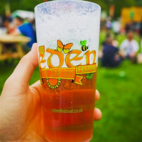 festival cups  glasses   usable eco cups