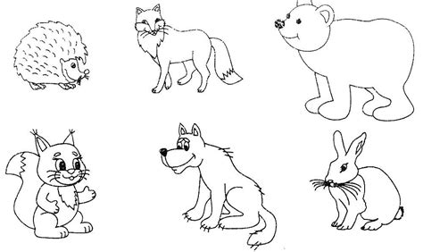 forest animal coloring pages    print