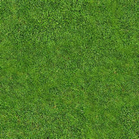 Seamless Tiling Grass By ~cesstrelle On Deviantart Rumput Pohon Grafis