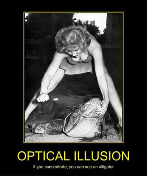 Funny Optical Illusions Optical Illusions Funny Optical Illusions