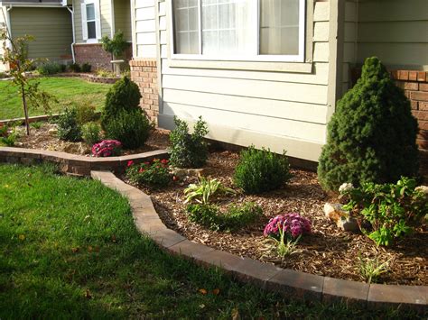 Perennial flower bed (1st year). | Garden stones, Flower beds, Front