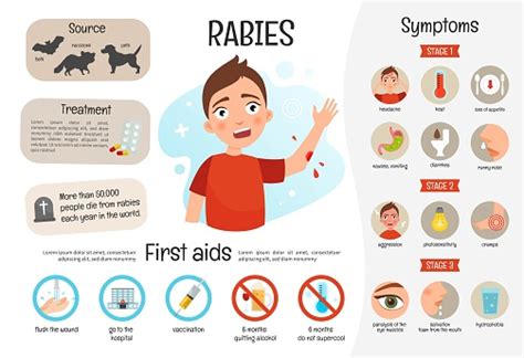 Vector Medical Poster Rabies Stock Illustration Download Image Now Istock