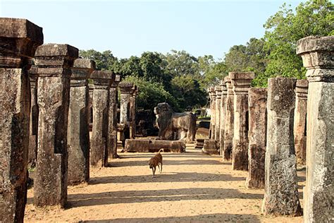 Polonnaruwa Historical Facts And Pictures The History Hub
