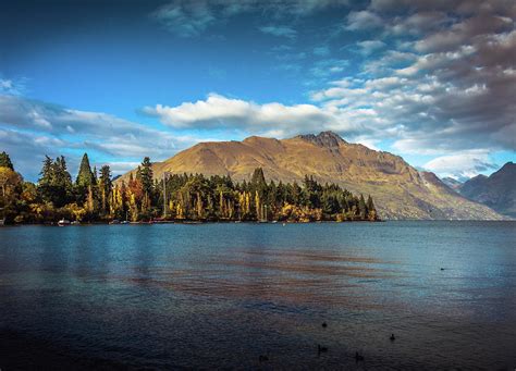 Fall Scene Ii New Zealand Photograph By Larry Jones Fine Art America