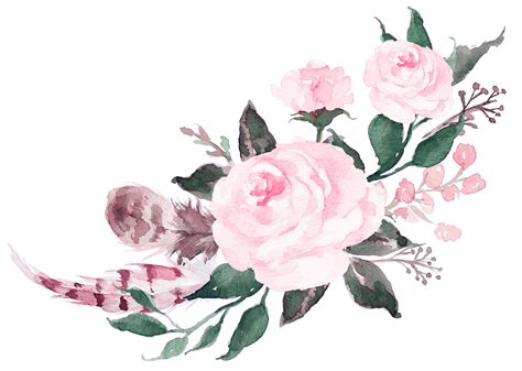 Free Psd Png Transparent Pink Watercolor Flowers Free Png And Psd Hot